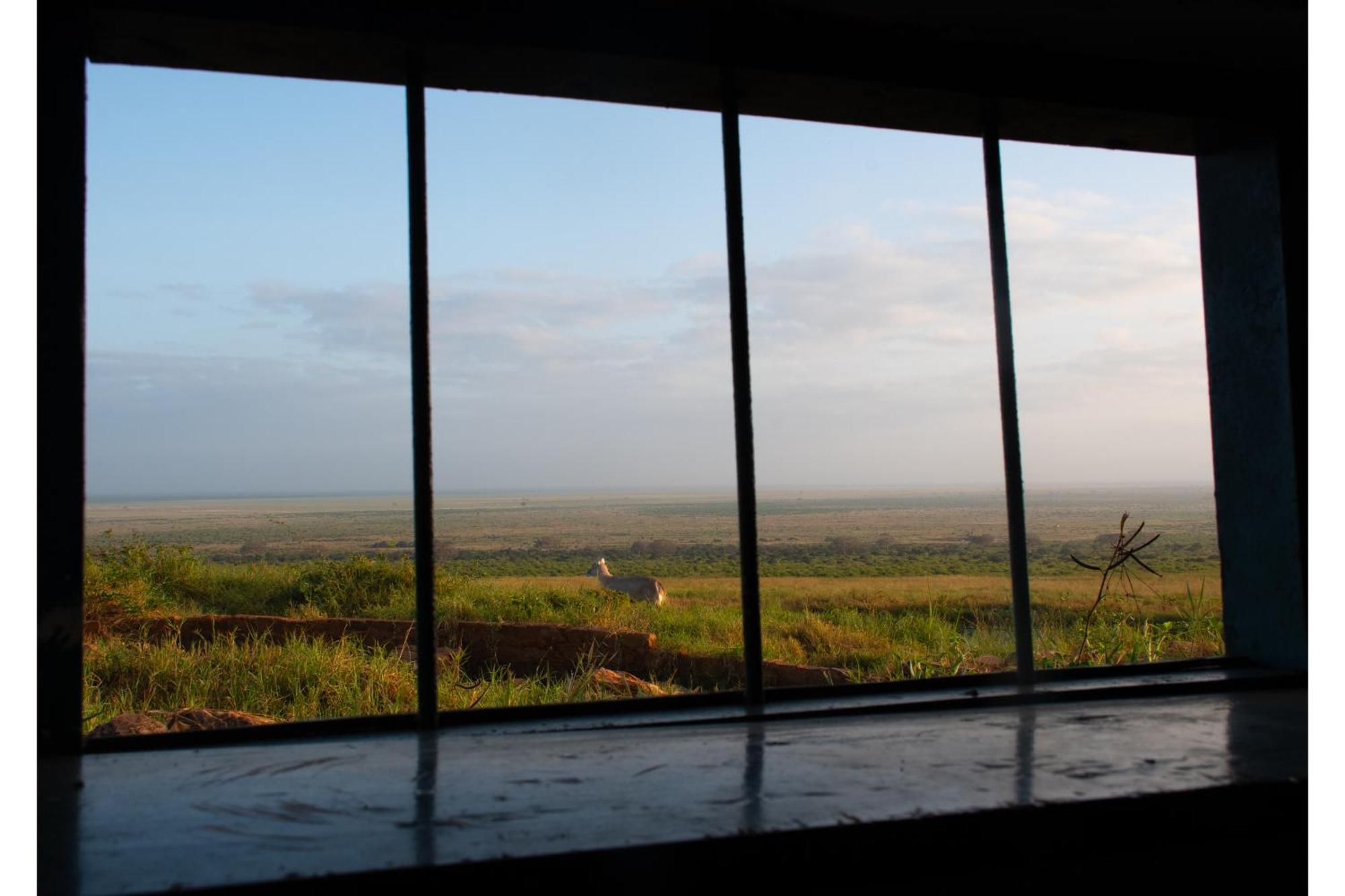 Voi Safari Lodge Exterior photo